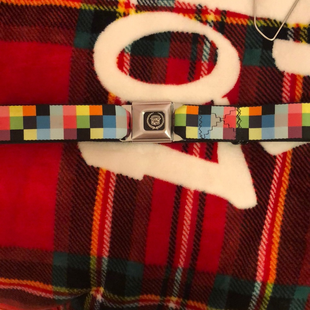 Seat belt belt